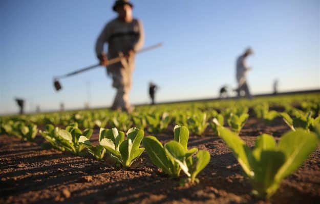 Lombardia: un sostegno concreto per le aziende agricole delle aree svantaggiate. In arrivo 17,7 milioni di euro