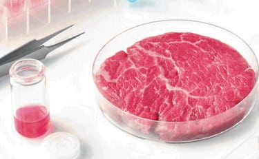 Lombardia, Commissione VIII approvata la mozione contro alimenti e mangimi sintetici