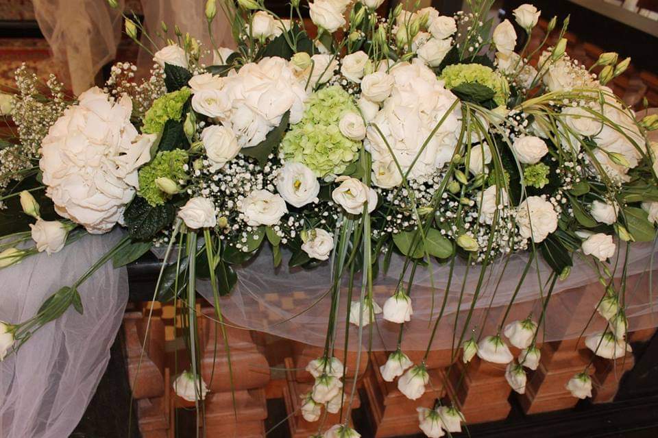 Magenta, Elisa e i suoi fiori: quando la passione ti fa superare ogni traguardo