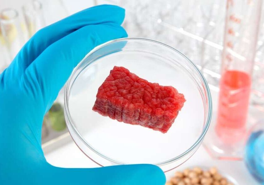 No alla carne sintetica dell’Italia: Regione Lombardia plaude (e noi con loro)
