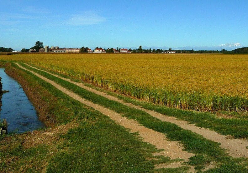 Agricoltura. A Pavia lunedì 4 dicembre si parla di irrigazione