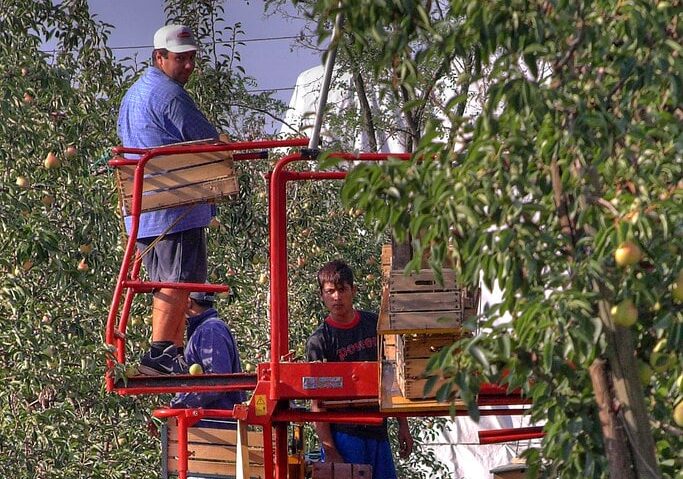 Malanchini: Regione Lombardia attenta ai giovani agricoltori