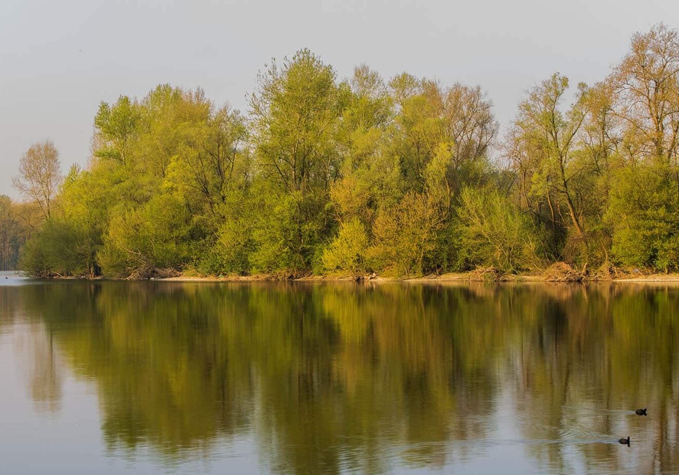 Ambiente e fiumi. Deflusso ecologico: c’è più tempo per l’attuazione
