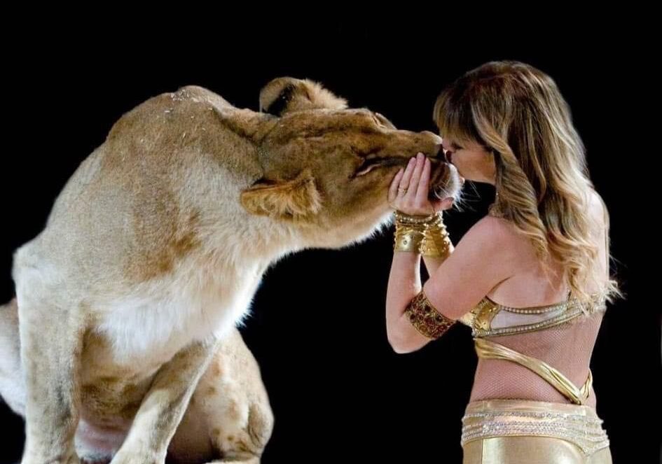 Castelletto sopra Ticino: arriva lo show di successo del Circo Paolo Orfei, “Africa, Il Regno Animale”