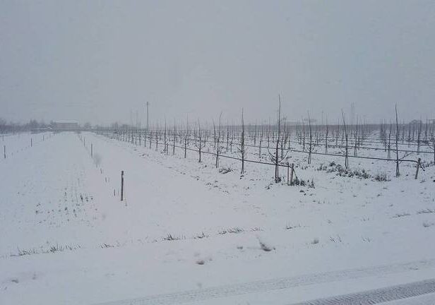 Meteo. Tre giorni con vento, mareggiate, freddo e anche neve