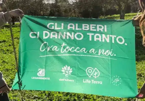 Giornata dell’Albero: studenti alla scoperta degli alberi monumentali di Magenta