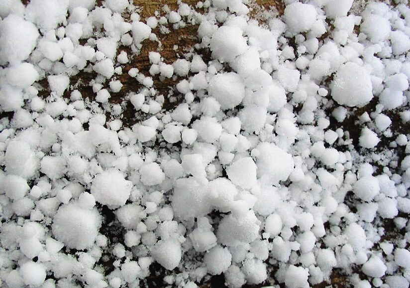 Canegrate: 170 mila euro per risanare il bosco devastato dalla grandine nel 2023