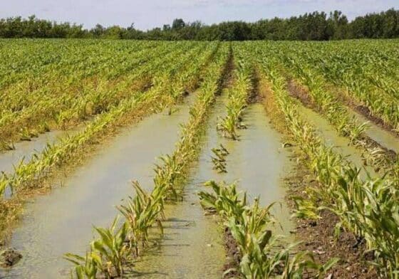 Coldiretti, 20 miliardi di danni ad agricoltura da maltempo in tre anni