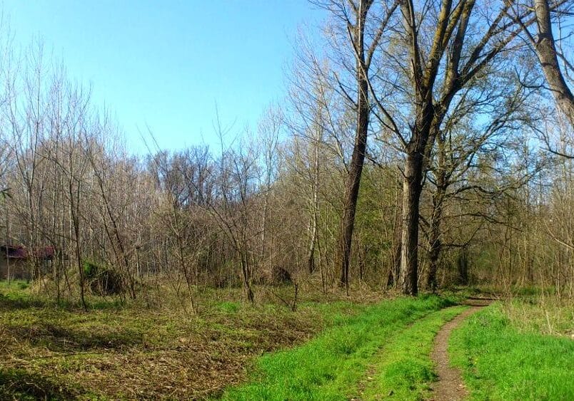 Trecate: OK alle compensazioni ambientali per il Parco del Ticino