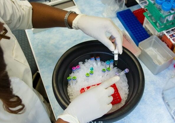 Salute, Tumori: ‘cellule Carcik’ efficaci contro la leucemia