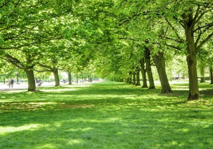 Dairago: quasi trecentomila euro per il parco di via Toti