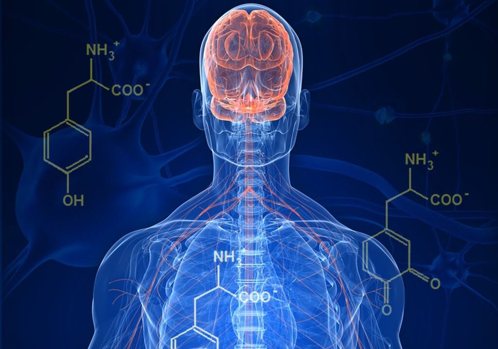 L’intelligenza artificiale potrà ‘leggere’ il Parkinson: lo studio a Pavia