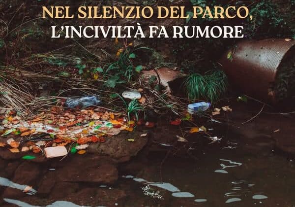 Parco del Ticino, l’appello: “Rispettiamo la natura, no ai rifiuti abbandonati”