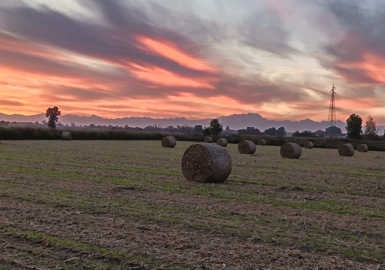 Superstrada e agricoltura. Un coltivatore diretto ci scrive