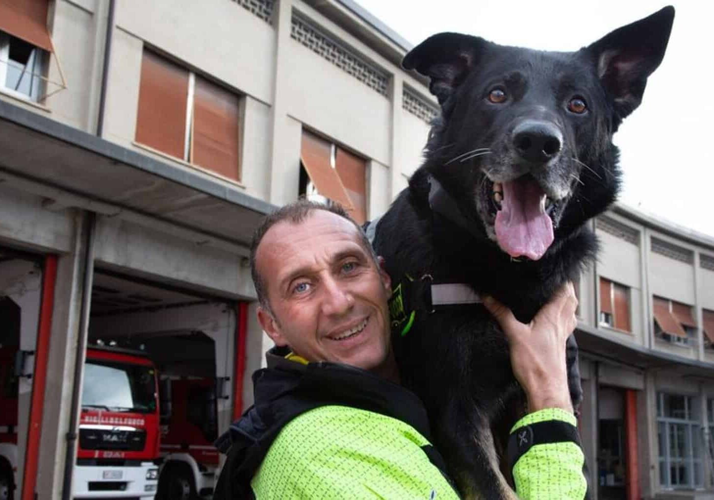 Cane da soccorso ferito gravemente, Lara Magoni (Fdi) contribuira’ a cure