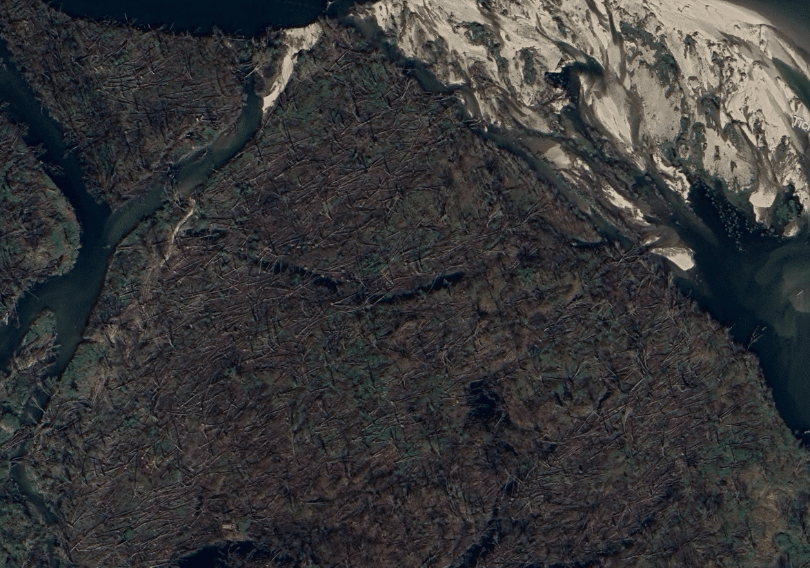 Parco del Ticino. Giornata degli alberi 2025