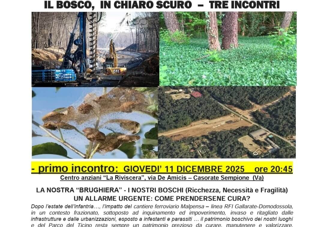Comitato ‘Salviamo La Brughiera’: “Il bosco in chiaro e scuro”