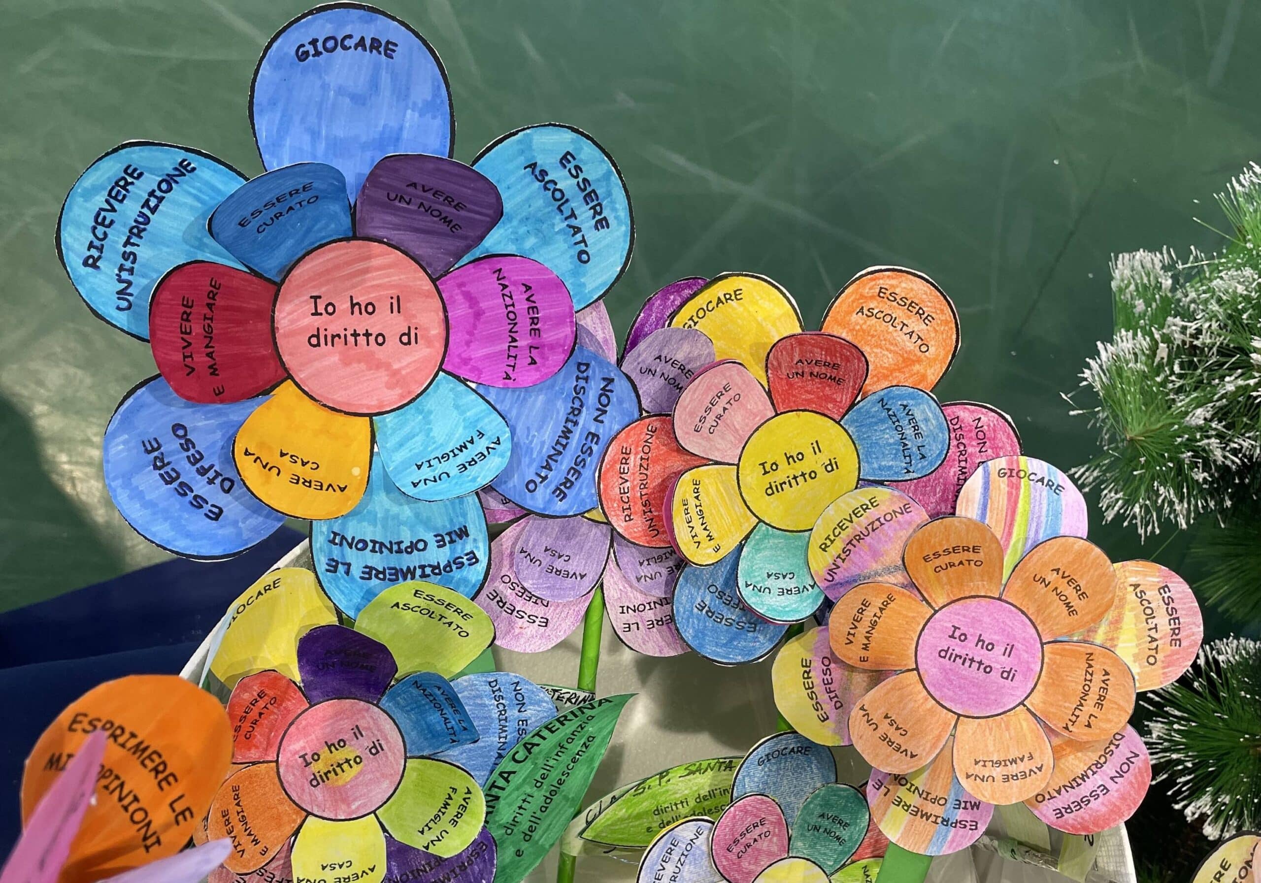 Magenta. Con i bambini si parla di diritti: a scuola con il “Christmas Jumper Day” e un fiore