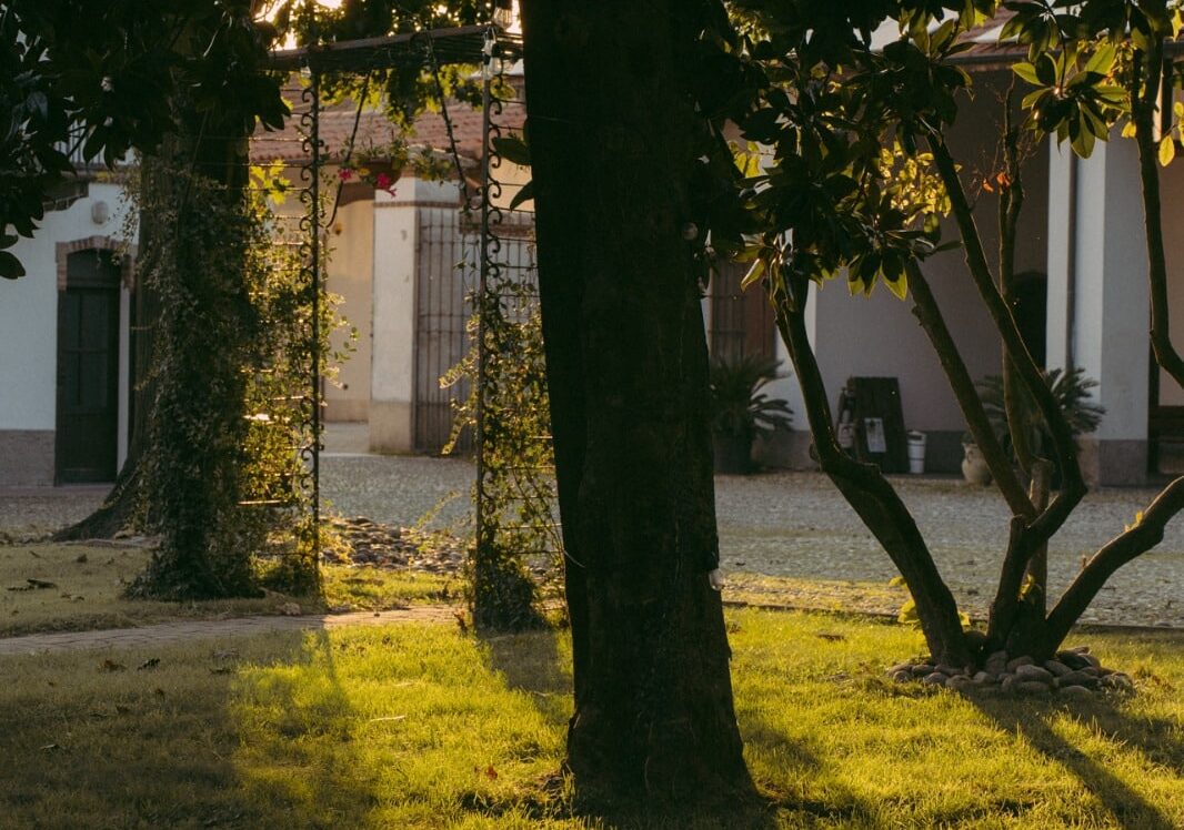 “Dai ristoranti ai negozi: la Cooperativa San Rocco accelera per le feste”