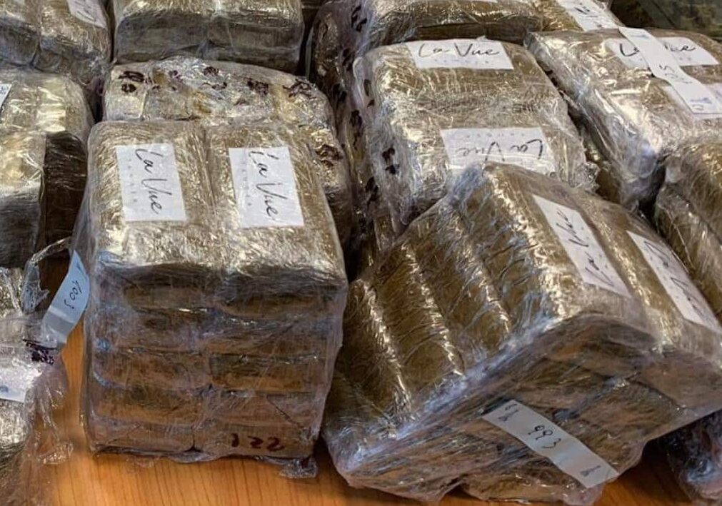 Quattro arresti nel Pavese: i Carabinieri sequestrano 64 chili di marijuana