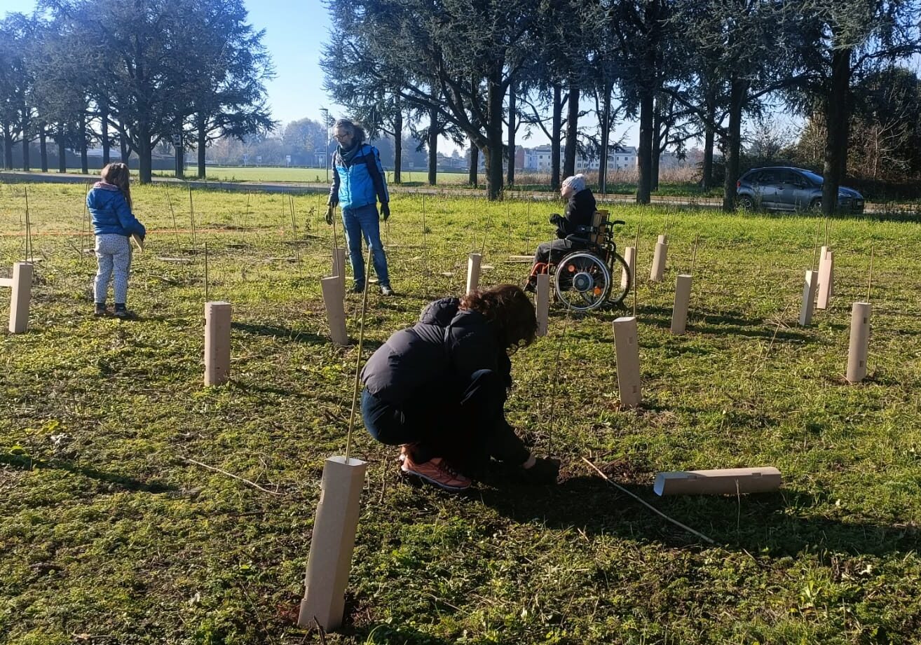 Forestami, 10 nuovi progetti per il 2026: anche Rho, Bareggio e Villa Cortese
