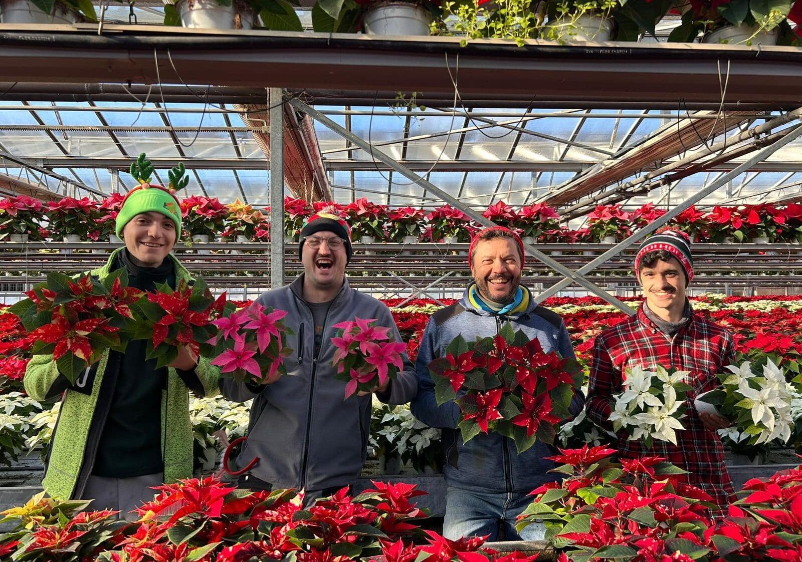 Il conto alla rovescia è iniziato: da Zanzottera la magia del Natale