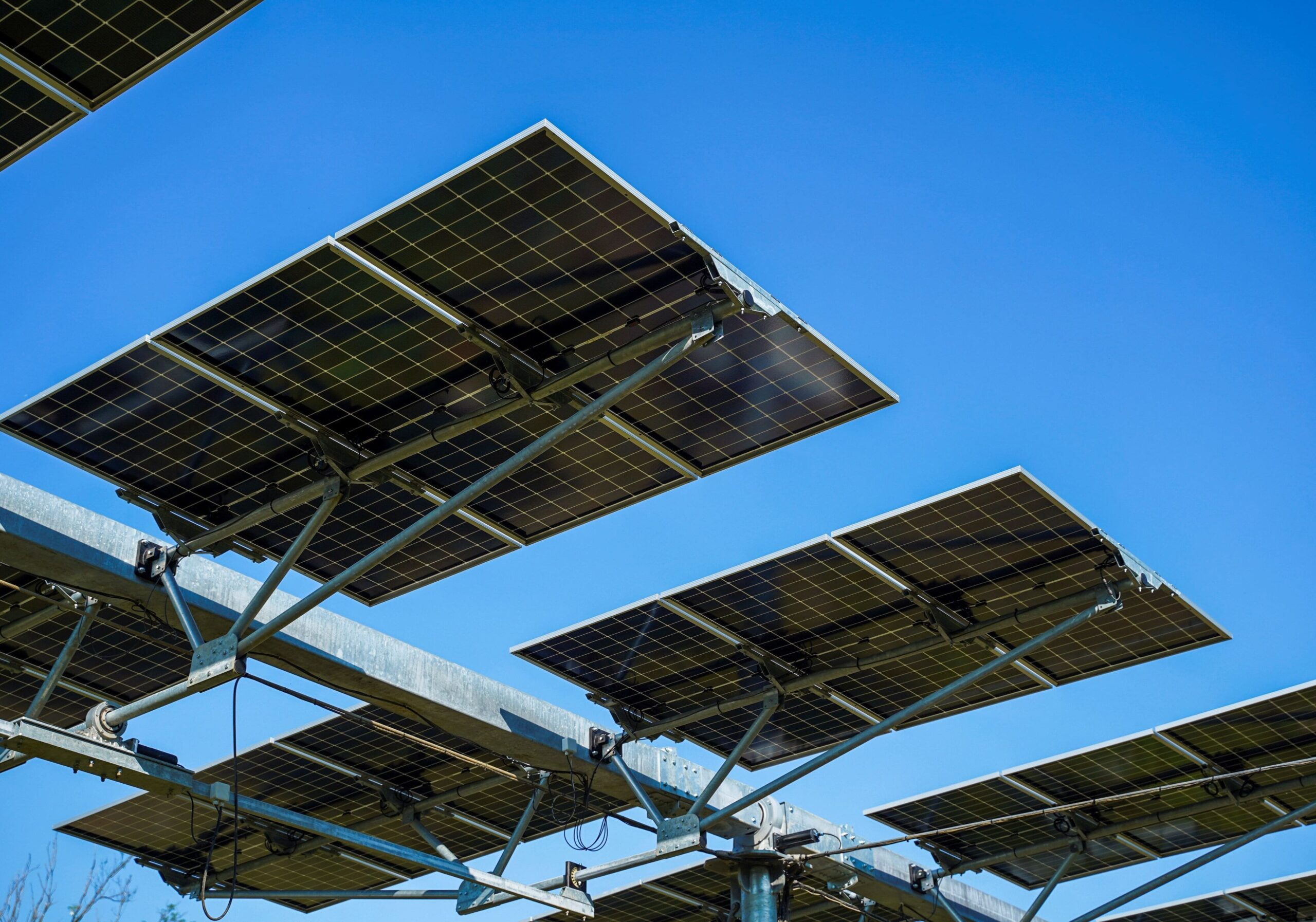 Agrivoltaico  in Lomellina, la Provincia di Pavia dice “no”: «Documentazione insufficiente»