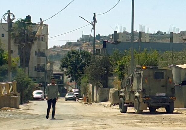 Arluno apre i “Dialoghi sulla pace”: focus sulla Palestina con i volontari di Operazione Colomba