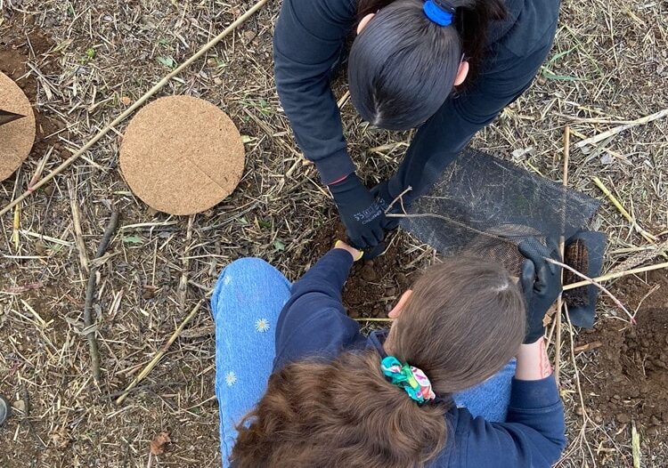Forestami a Villa Cortese: 405 nuove piante