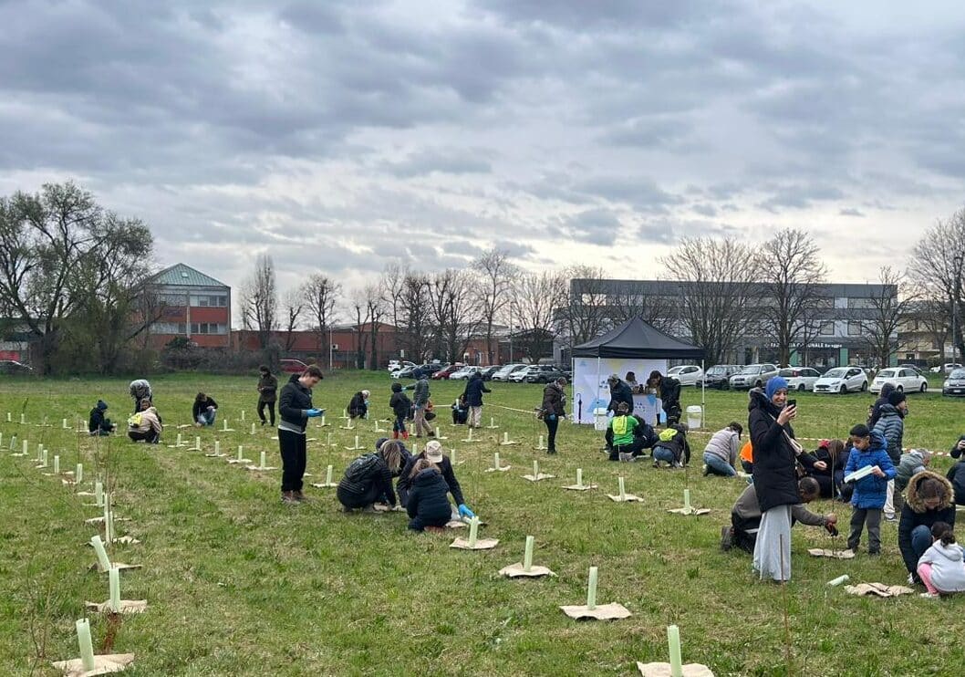 Un nuovo bosco a Bareggio con Forestami: messe a dimora oltre 2.400 piante