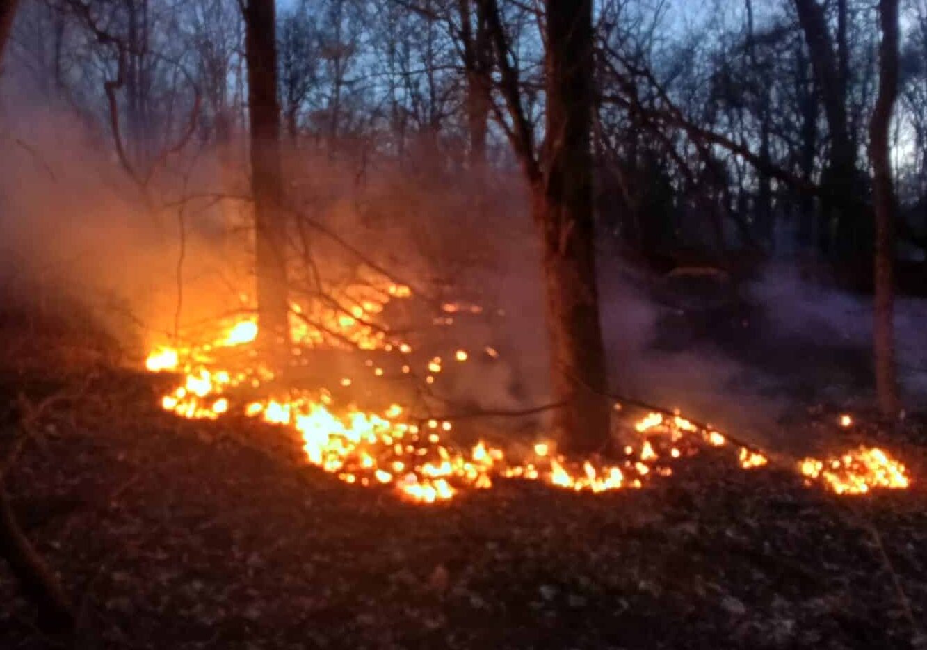 I volontari del Parco Ticino in prima linea: emergenza incendi, 4 roghi in 48 ore nel Varesotto