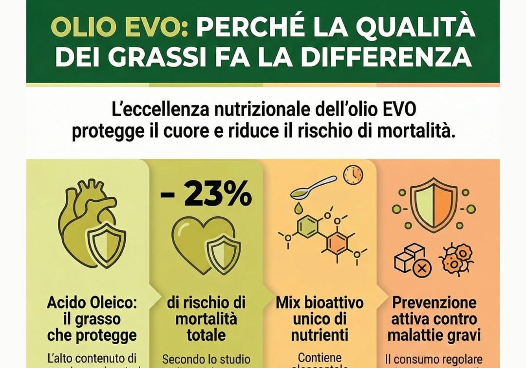 Salute: Olio extravergine di oliva e grassi “buoni”, consumo quotidiano riduce del 23% il rischio di mortalità