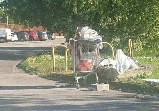 Magenta: volontari ripuliscono il parco di via Bernini, ma il cumulo di rifiuti è ancora lì