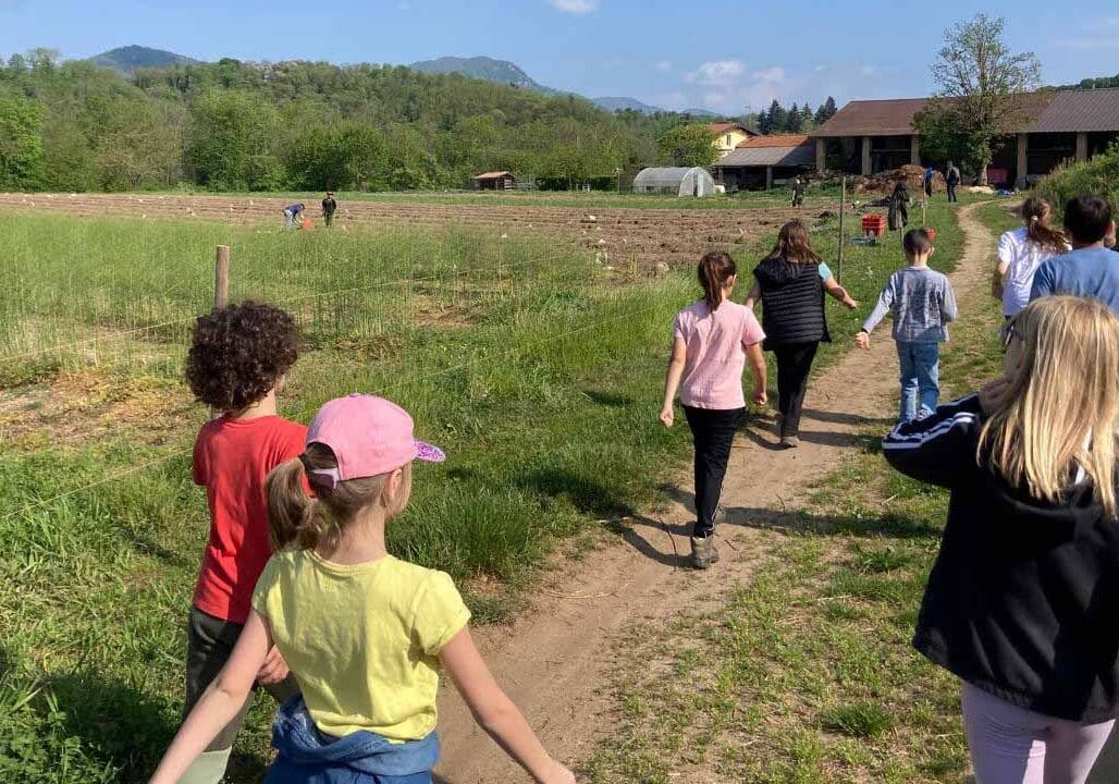Passeggiata gratuita da Cantello con attività di orientering per i bimbi dai 6 ai 10 anni il 2 giugno