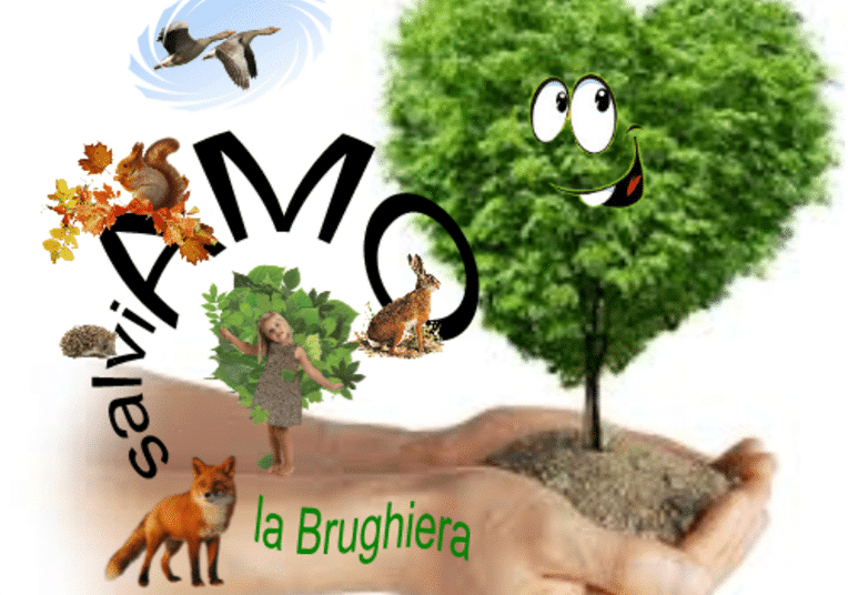 Rinvio per maltempo: la passeggiata al Bosco di Casorate Sempione spostata a domenica 7 giugno