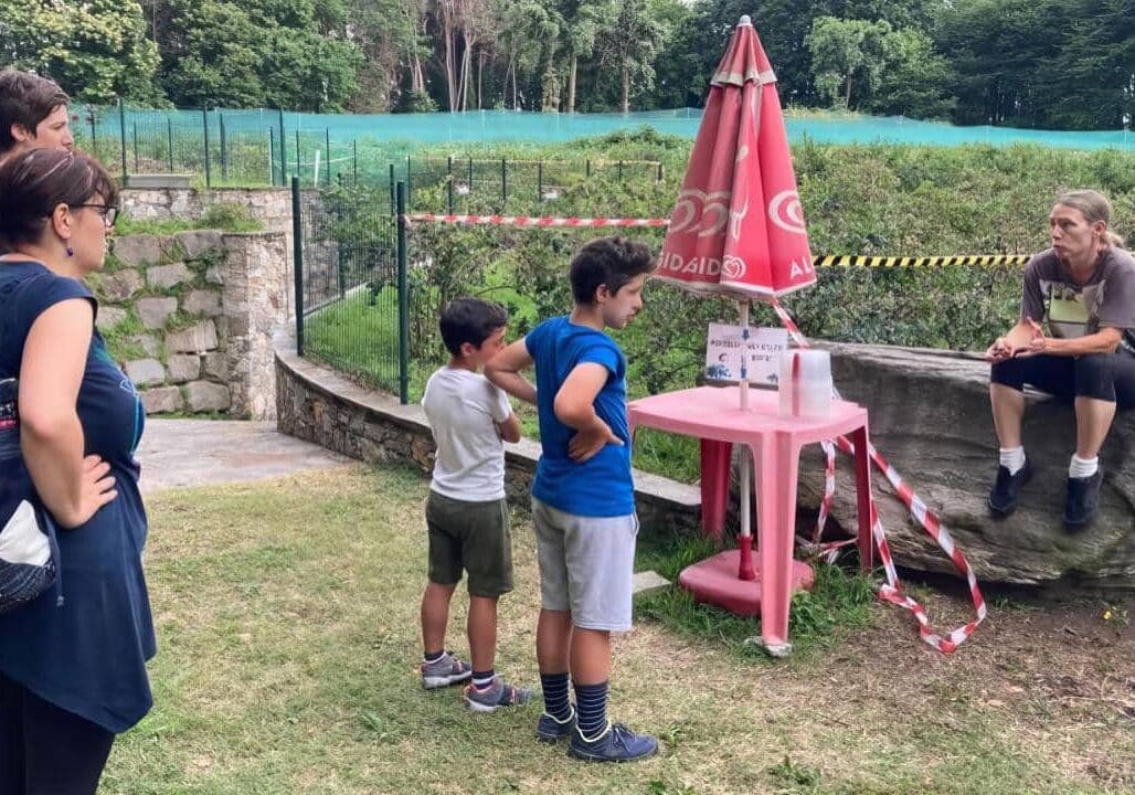 Passeggiata al fresco della mattina da Ispra al parco del Quassa con raccolta di mirtilli il 4 luglio per riscopre storia e sapori del Lago Maggiore