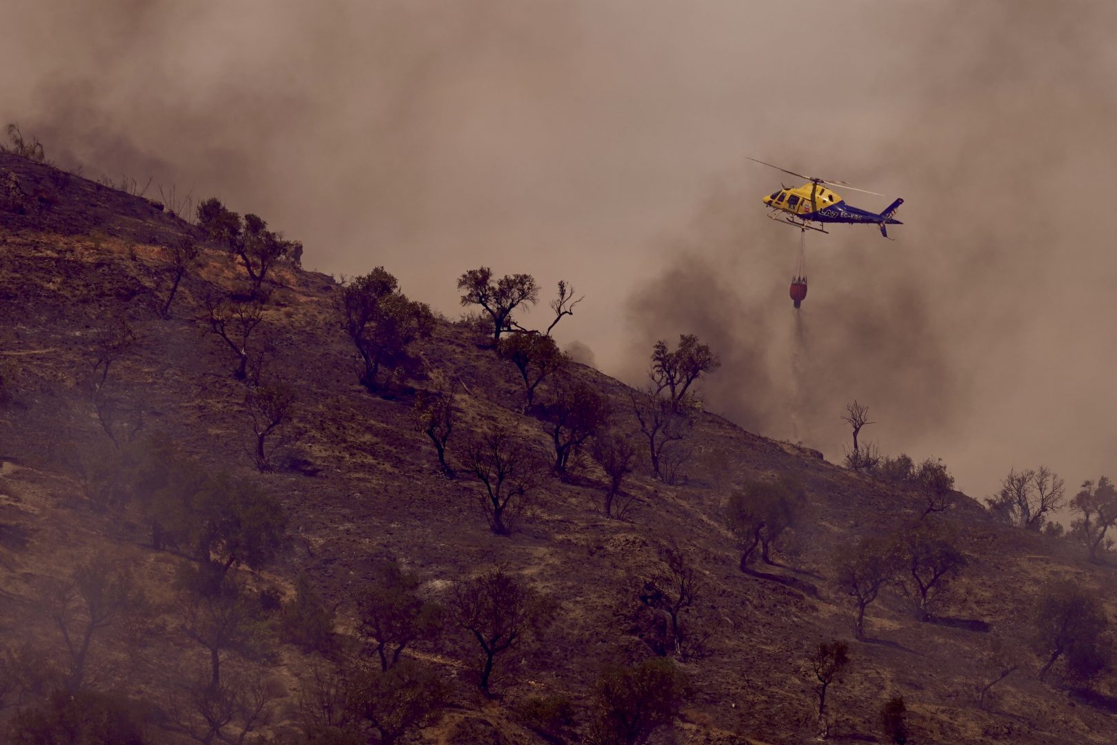 Spagna, bosco in fiamme vicino ad Almería: almeno 12 morti