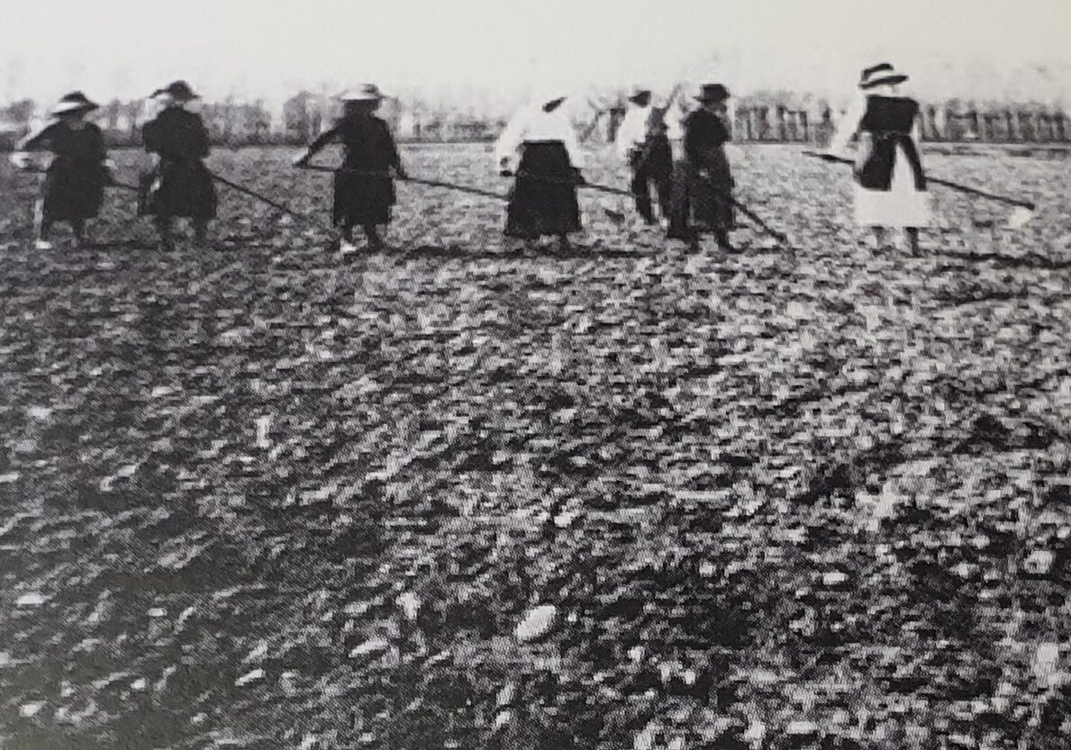 Associazioni agricole pavesi lanciano l’allarme, ‘gravissima carenza di acqua’