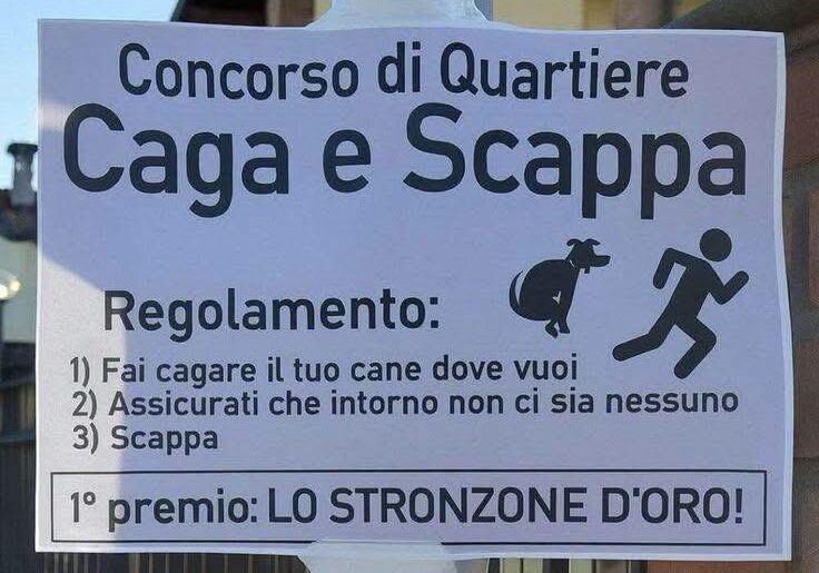 “Basta popò sui marciapiedi!”. La (giusta) insofferenza dei residenti