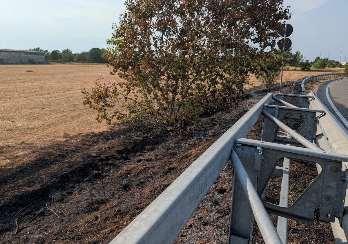 Bernate Ticino, nuovo incendio nella vegetazione vicino al ponte per Boffalora: è il secondo in pochi giorni