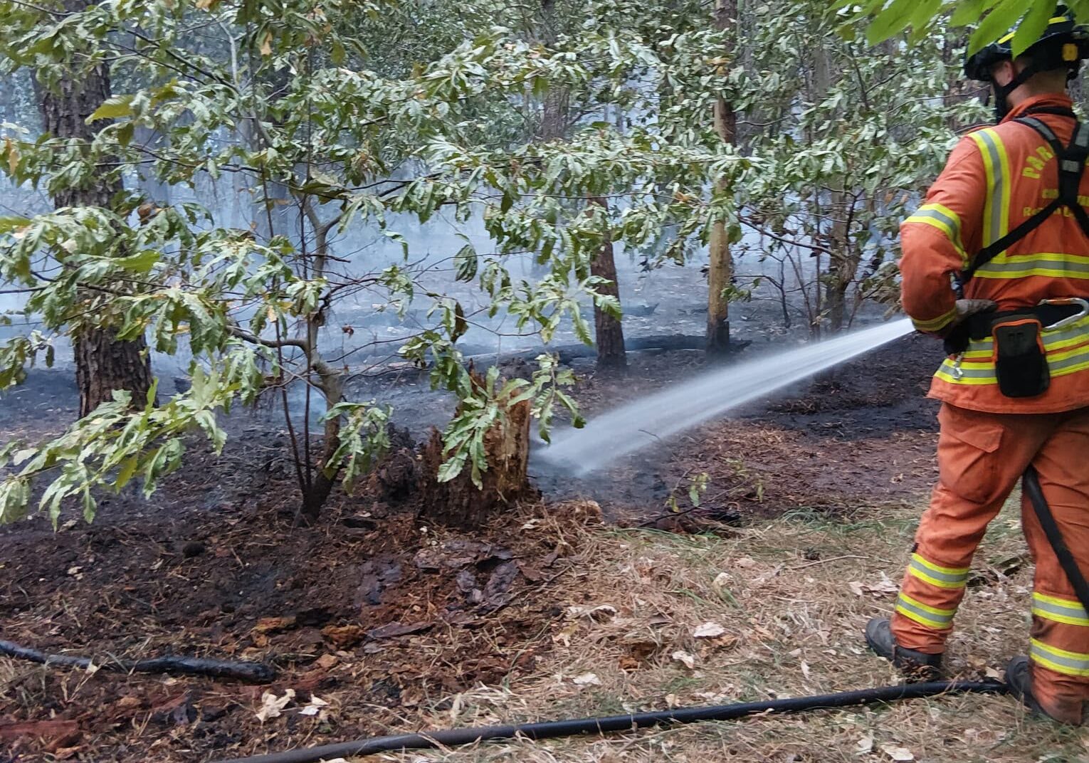 Incendi, Lombardia in codice arancione. Centro operativo regionale Protezione civile al lavoro per monitoraggio costante della situazione