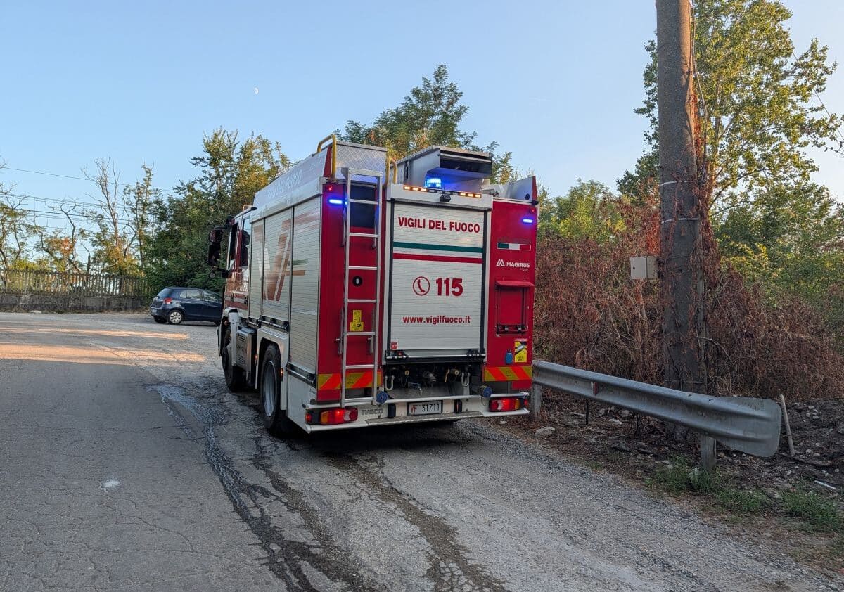 Capriolo nel Naviglio Grande tra Boffalora, Pontevecchio e Robecco: arrivano i Vigili del Fuoco, ma l’animale non c’è più