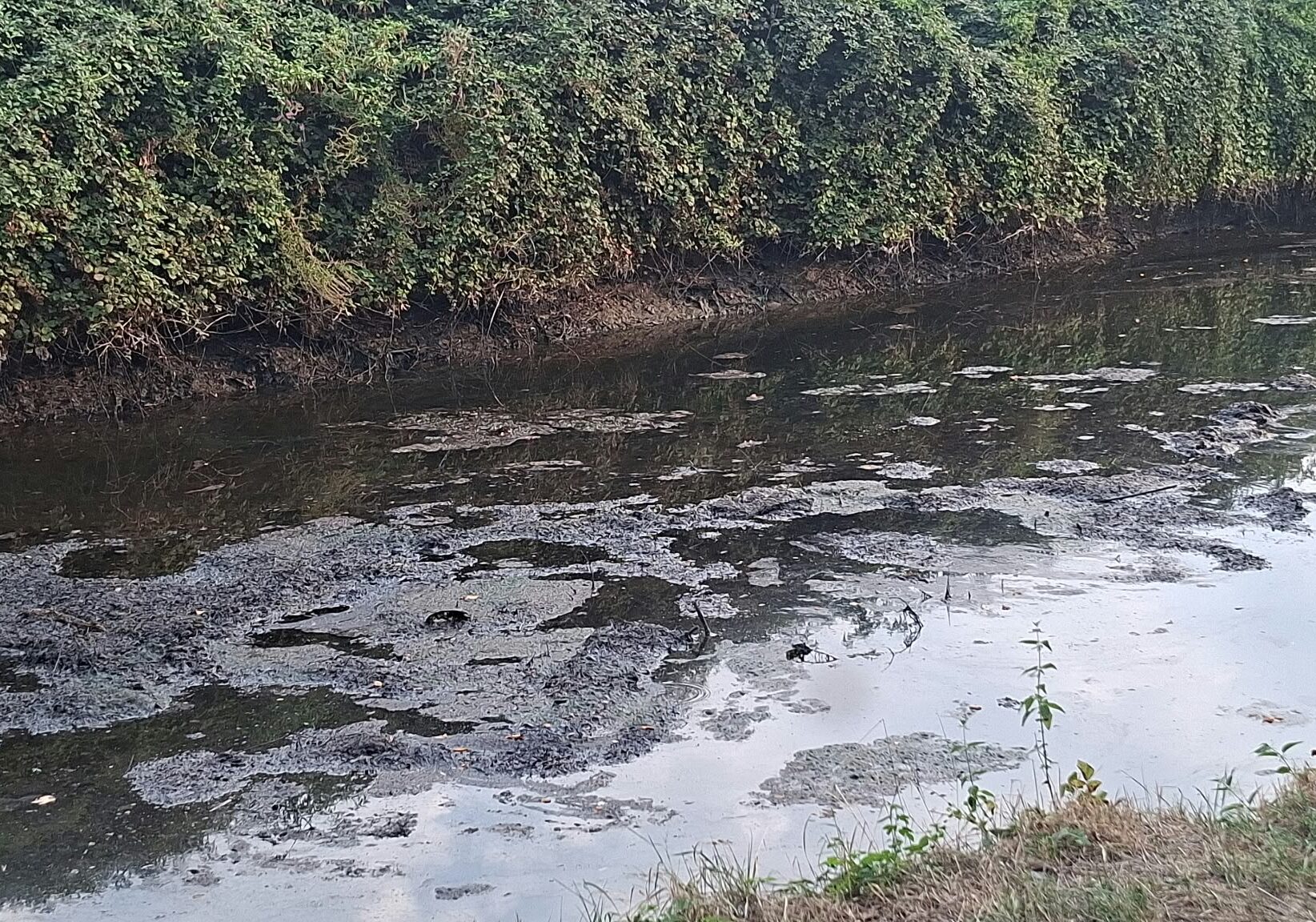 Robecco sul Naviglio: iniziano i lavori di bonifica.  Barni: “Servono pene esemplari”