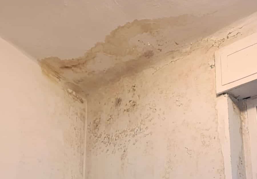 Muffe al nido di Castellazzo di Robecco, botta e risposta tra il sindaco Barni e l’opposizione: «Servono risposte e verifiche»